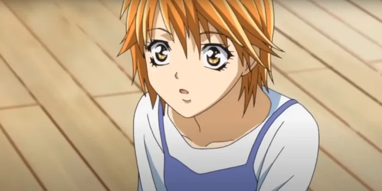 Skip Beat! Kyoko Mogami (Anime Like True Beauty)