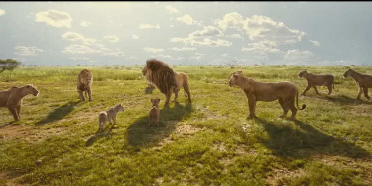 Obasi, Afia, Mufasa and Taka in Mufasa: The Lion King trailer breakdown