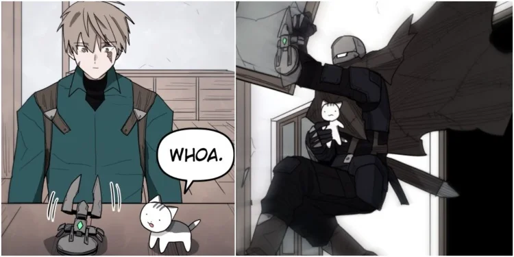 Hawk and His Cat