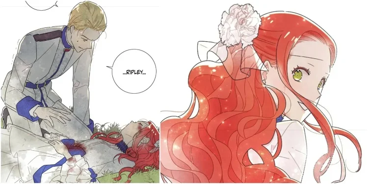 Ripley and Zeronis in The First Night with the Duke Chapter 10-18